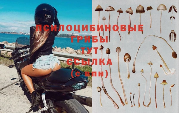 mix Богданович