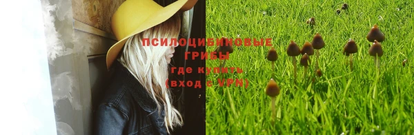 дмт Верея
